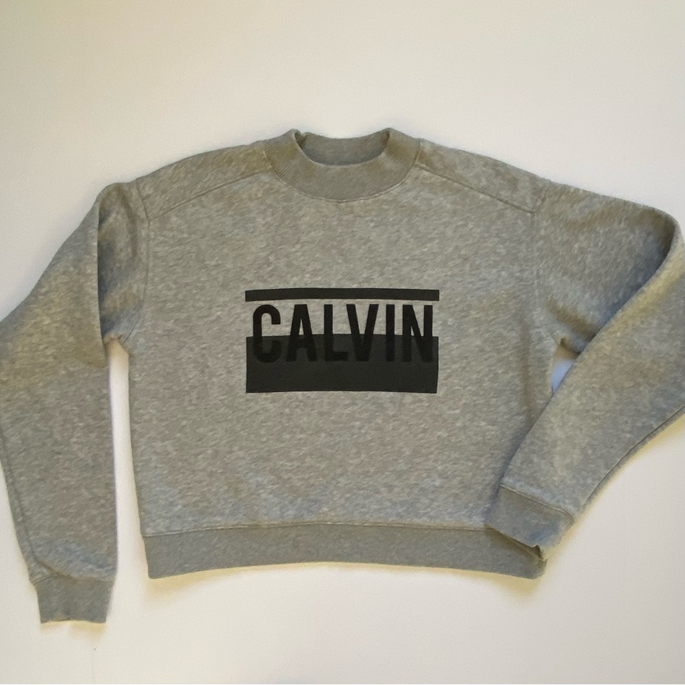 Calvin Klein Sweatshirt Spellout Size XS Cropped Gray Womens Teen EUC Pullover